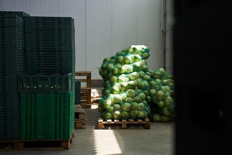 Vegetables cabbage warehouse