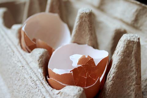 egg shell pixabay