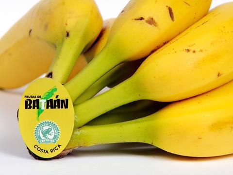 rainforest alliance banana one use