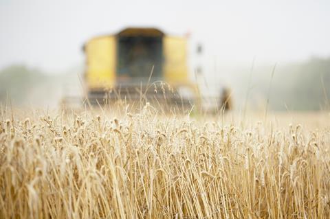 combine harvester in field crops harvest