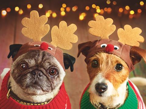 asda christmas dogs