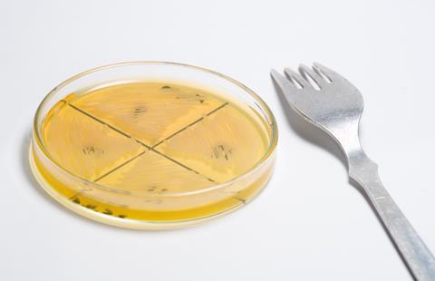 ecoli bacteria food safety