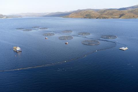 scotland salmon farming