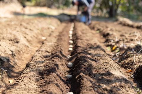 Organic farmer doing farm work. - stock photo