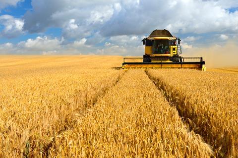 crops field