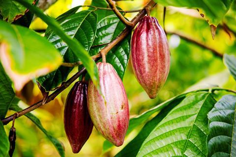 GettyImages-2210604462