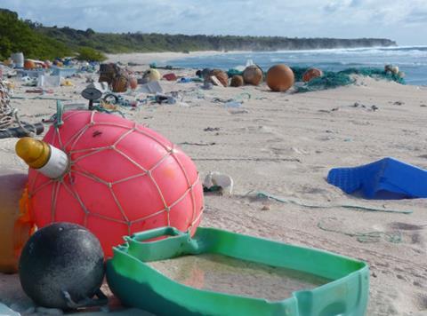 East Beach Henderson Island photo Tara Proud_RSPB