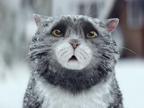 sainsbury's christmas ad mog