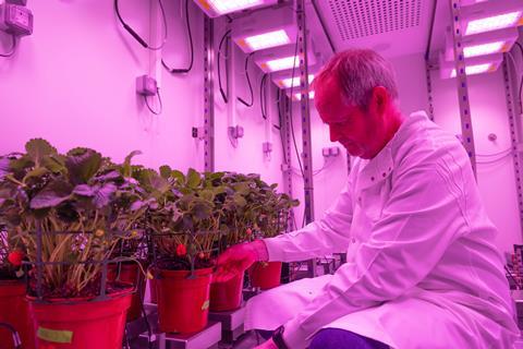 LAB Dr Phillip Davey works in the drought room