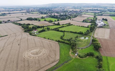 Weetabix wheat field