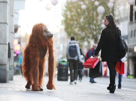 iceland orangutan stunt