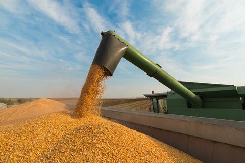 soy crop farming