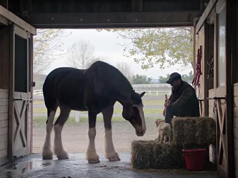 budweiser lost dog ad