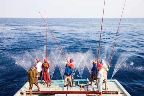Pole and line fishing maldives group
