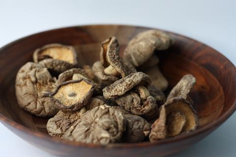 mushrooms- story box main image