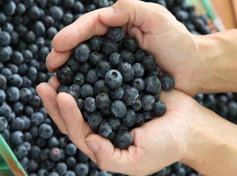 blueberries blueberry