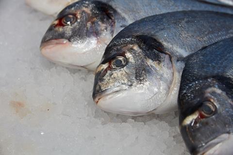 frozen fish