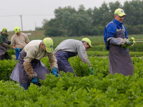Migrant workers single use