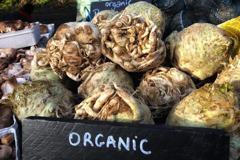 organic celeriac vegetables