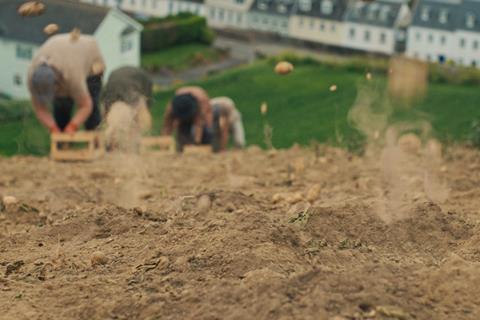 Royal_Jersey_Stills. TV Potato Burst