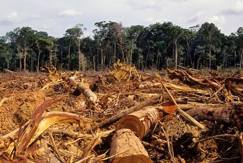 deforestation amazon GettyImages-115969525