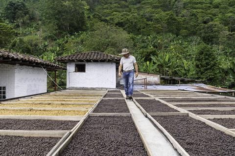 Colombia_Coffee_2