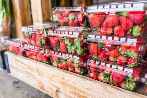 strawberries fruit plastic packaging