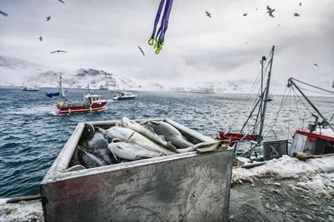 Fishing boats out for skrei cod in the arctic sea - stock photo