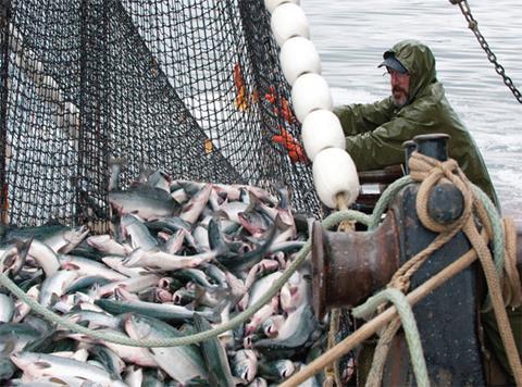 Fishermen fishing for fish