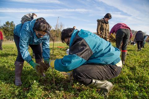 Woodland Trust Image