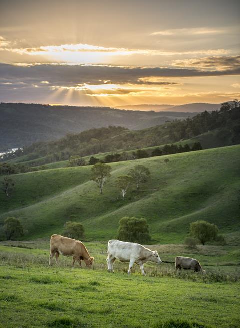 Aussie Beef & Lamb 2