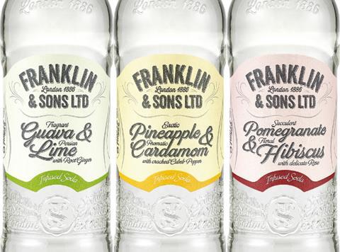 Franklin & Sons Infused Soda