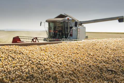 Soy harvest