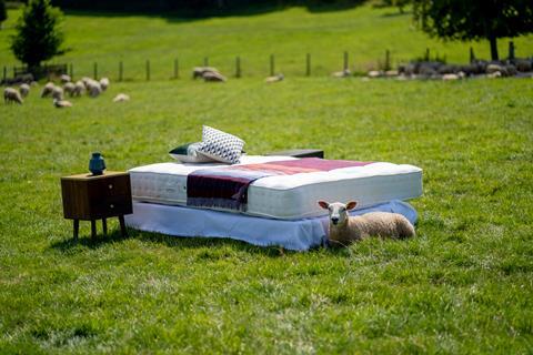 John Lewis Classic mattress on location at Waitrose sheep farm 2