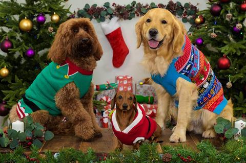 Sainsburys Christmas Dogs pet