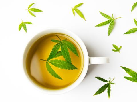 cannabis tea cbd