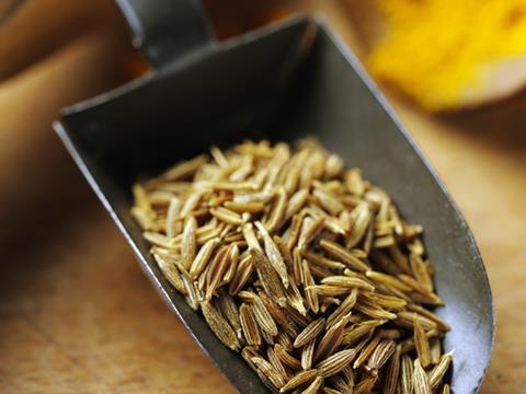 cumin harvest grain 