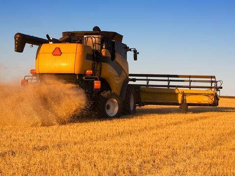 Combine harvester bumper wheat crop export