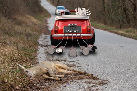 roadkill wedding mini