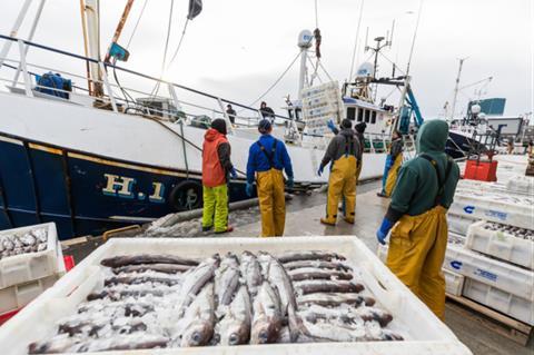 Unloading Fish