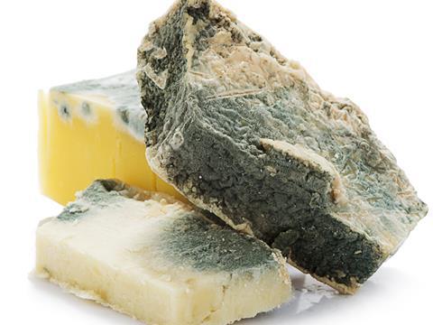 mouldy cheese one use