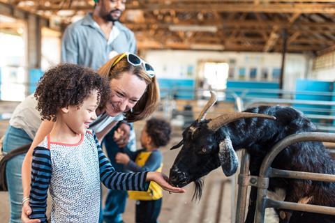 farm goat family kids tour