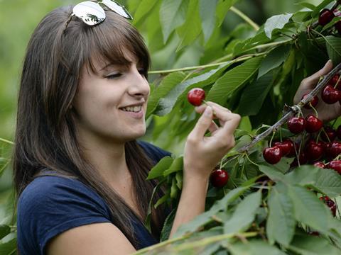 sainsbury's apprenticeship scheme