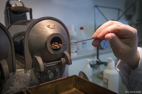 Roasting 1_Montpellier_cirad sensory analysis laboratory (© C. Cornu, Cirad)