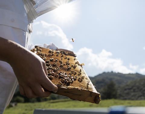 247797-bee-keeper-checking-honeycomb resized