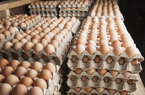 eggs