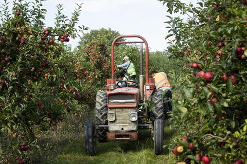 FSP_British_Apple_Harvest_016