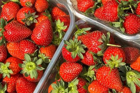 strawberries strawberry punnet