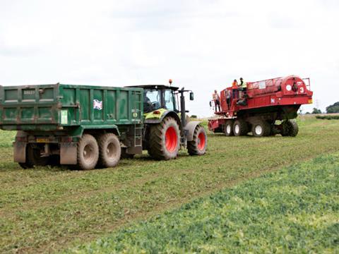 Pea Harvesting