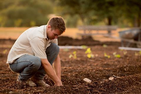 worker farmer in field